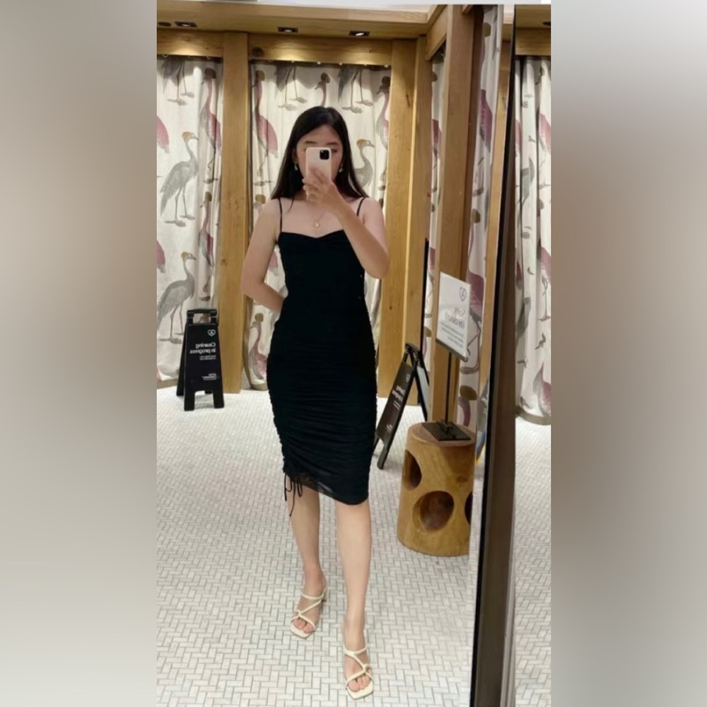 Aritzia Wilfred Rivers Dress NWT
